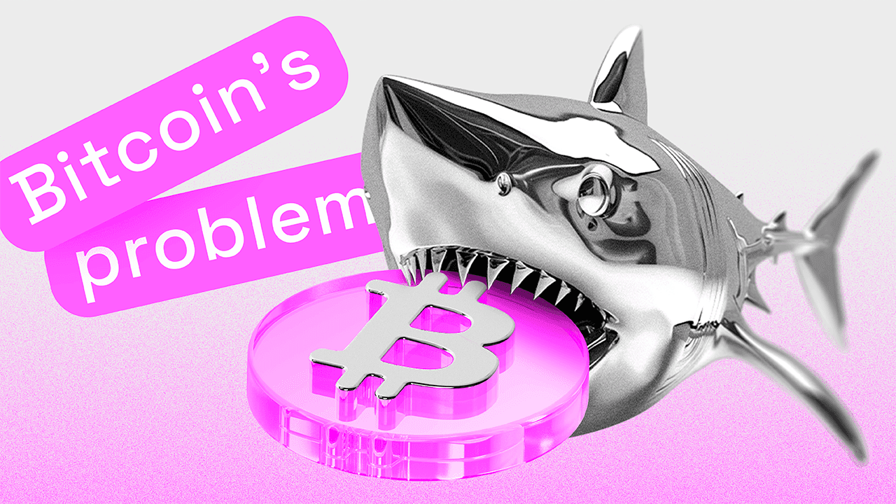 Bitcoin&#8217;in Sorunları Nelerdir?