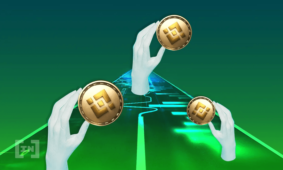 Binance Coin (BNB) Piyasadaki Dalgalanmaya Rağmen Güçleniyor