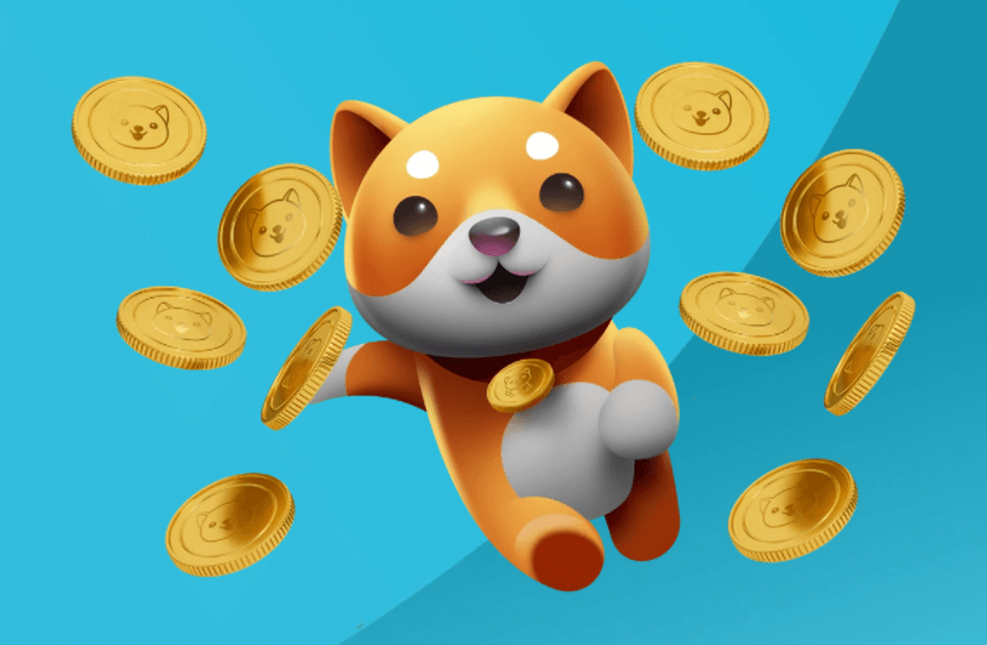 Baby Doge Coin Nedir? Geleceği Var mıdır?