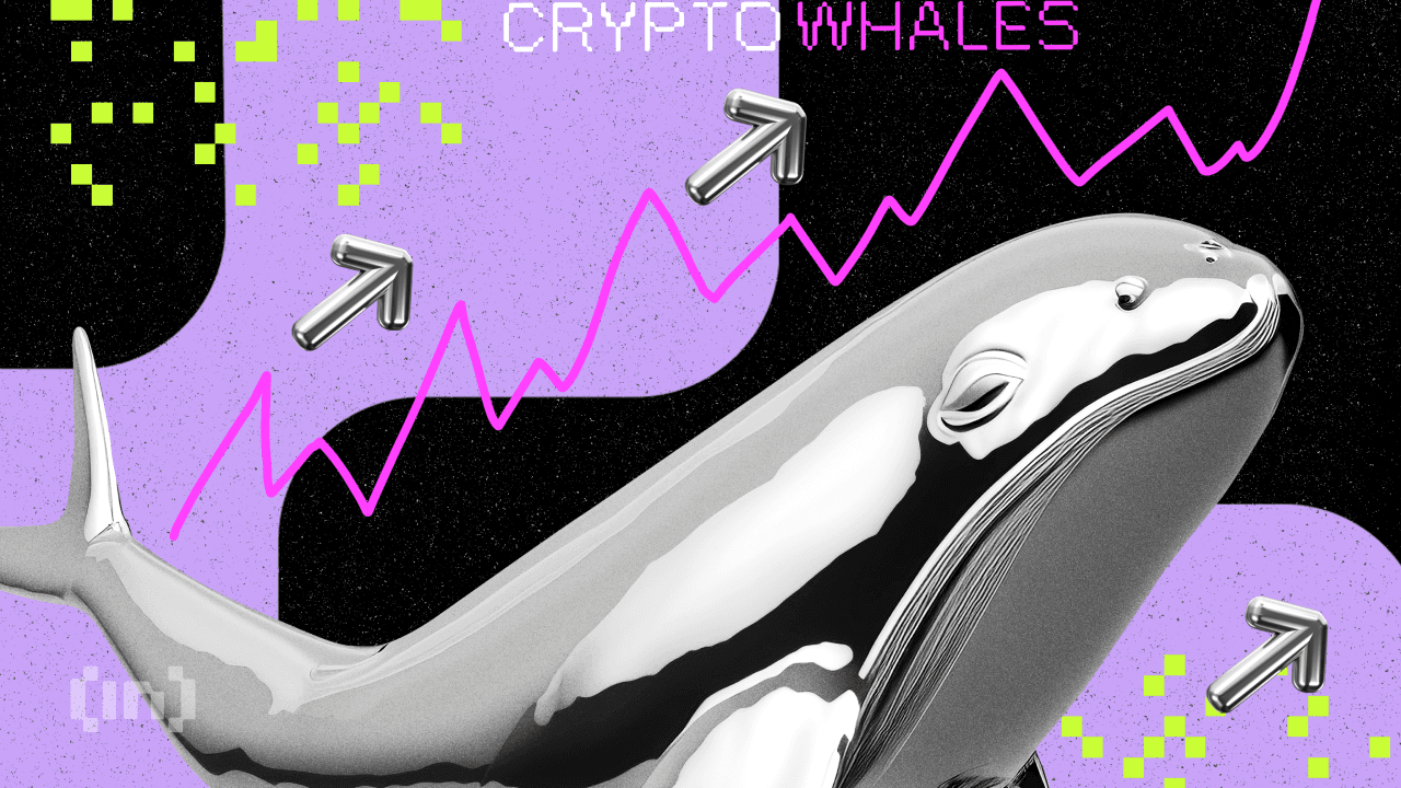 Ethereum (ETH) Rekor Kırarken Kripto Balinaları Ne Yaptı?