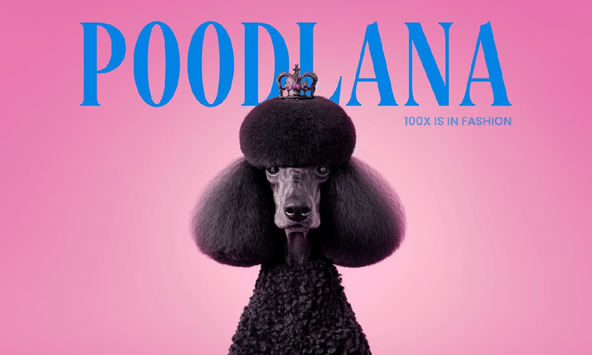 Poodles: Yeni Bir Meme Coin Maskotu &#8211; Poodlana Listelenmesi için Son Gün