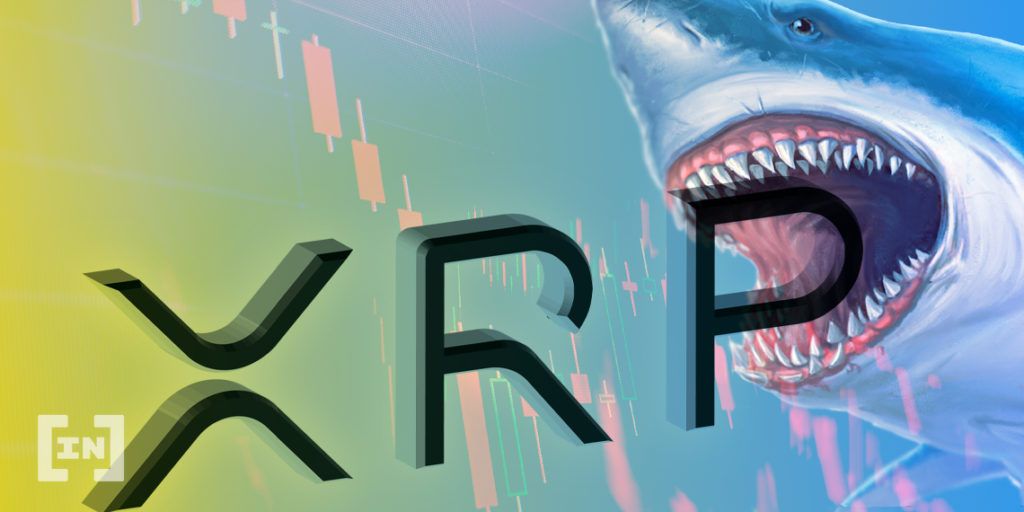 XRP Yatırımcılarını Mutlu Eden Haber, Fiyatı Kısa Sürede Yükseltebilir
