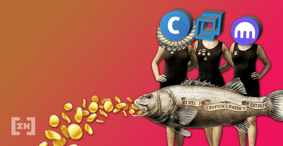 Coinbase Bittrex Kraken