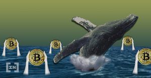 Bitcoin Balinaları Satış Yapmıyor: Yeni Ralliler Gelebilir