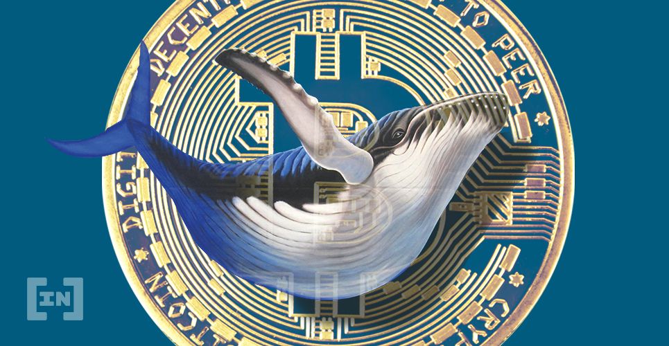 Balinalardan Yüklü Sabit Kripto Para Transferi: Bitcoin Fiyatı Yükselir Mi?