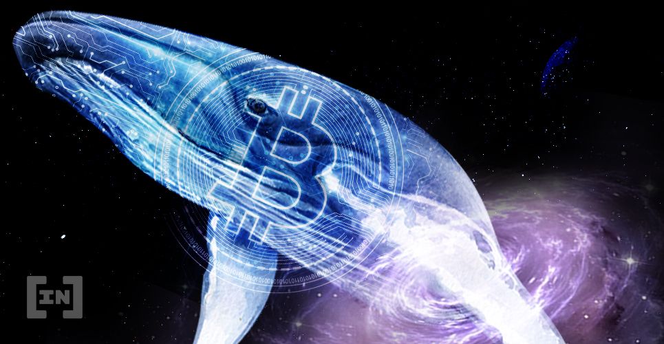 Bitcoin Balinaları Harekete Geçti!