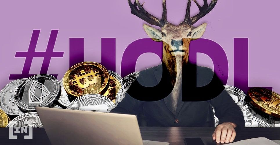 Bitcoin HODL nedir