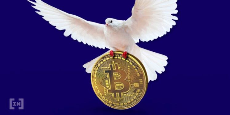 Bitcoin 8.800 Dolar Seviyesinde Israrcı