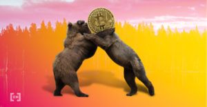 Bitcoin Piyasasına “Ayıların” Geldiği Nasıl Anlaşılır?
