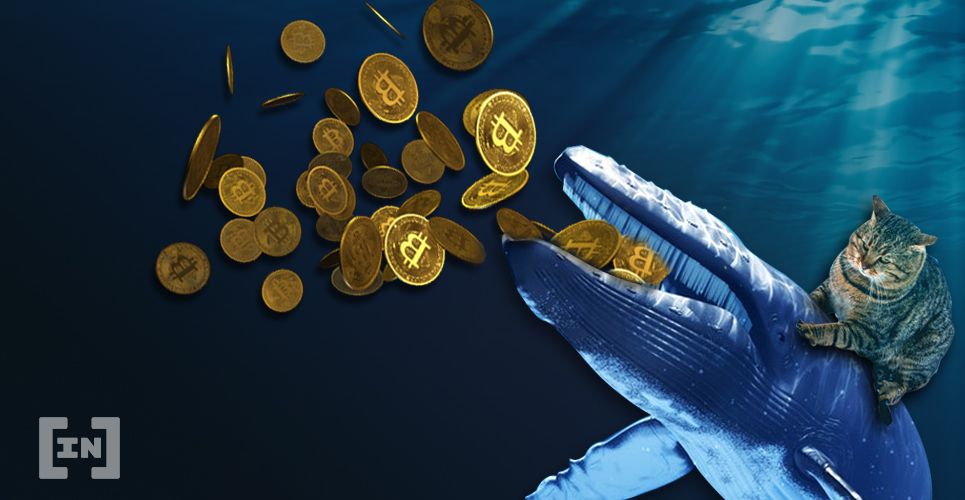 Dikkat: Yüz Binlerce Bitcoin Yeniden Harekete Geçti