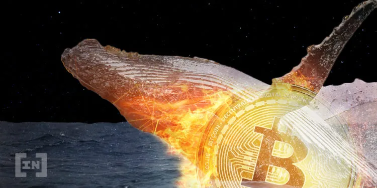 Balinalar Hareketlendi: Bitcoin Fiyatının 10.000 Doları Aşacağının Habercisi mi?