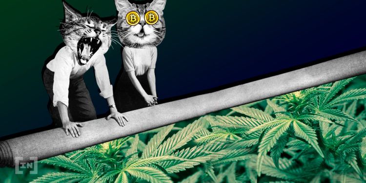 kripto para efsane