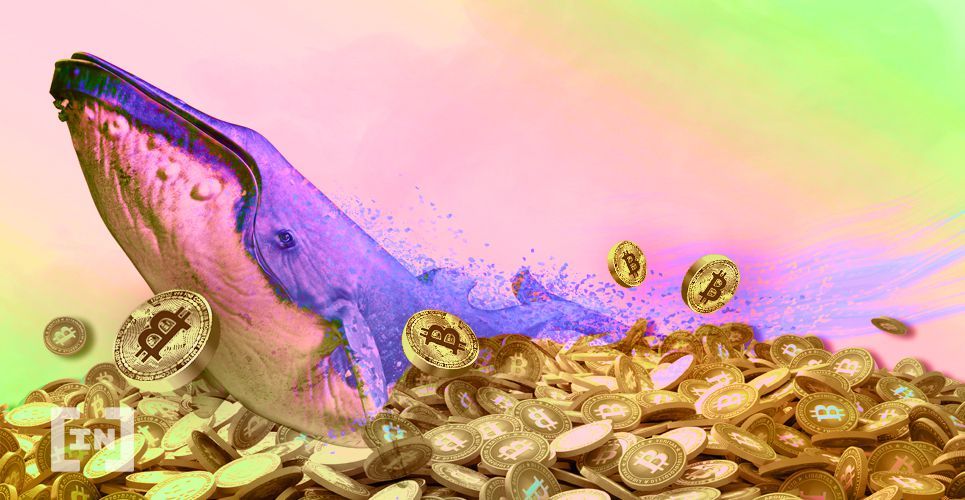 kripto para balina