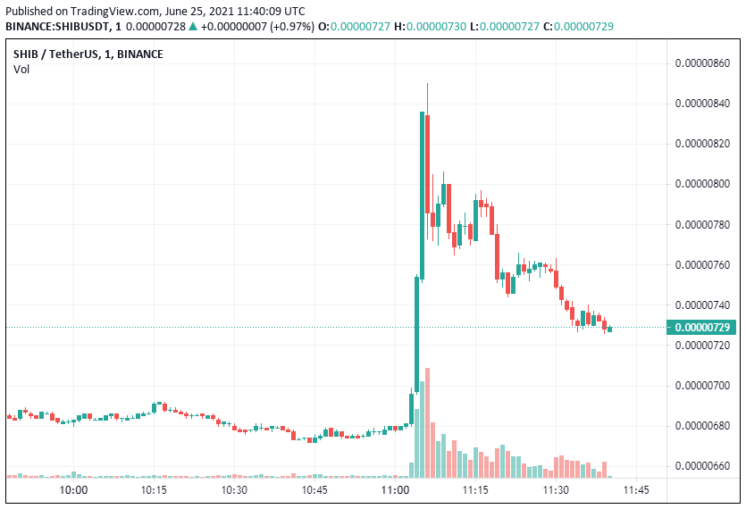 SHIB/USDT Kripto Para Grafiği