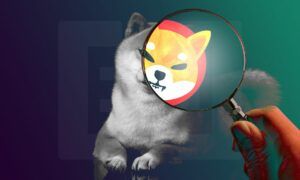 Shiba Inu (SHIB) 1 Ayda %50 Düştü: Geri Dönüş Yakın mı?