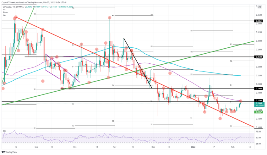 Dogecoin kripto para meme coin