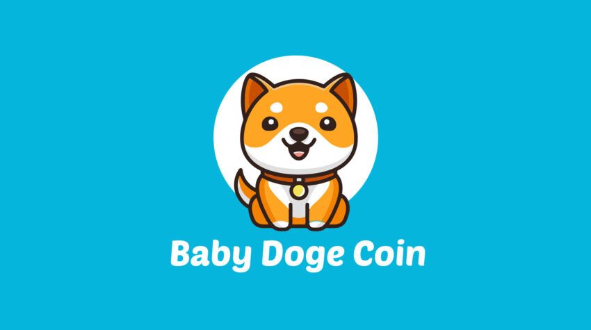 Baby Doge Coin Kritik Tarihi Açıkladı: Fiyat Yüzde 20 Yükseldi