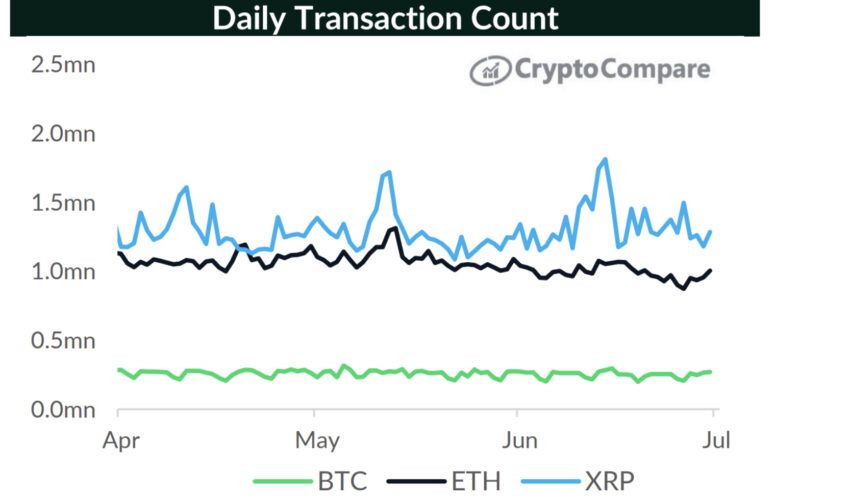 ripple işlem sayıları