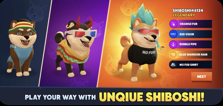 Shiba Eternity