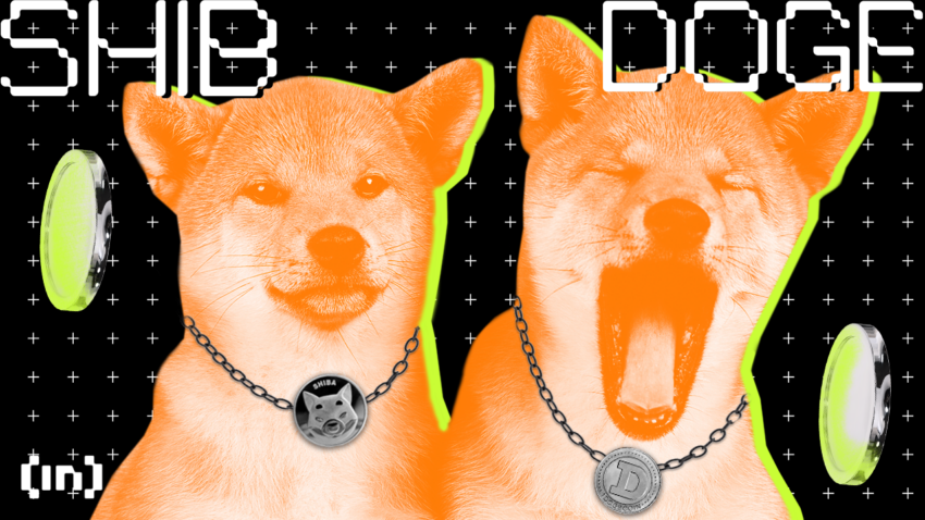 Shiba Inu SHIB Coin gelişmeleri