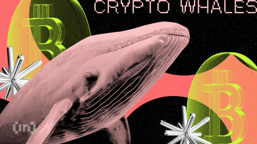 Bitcoin Balinaları, Düşük Seviyelerden BTC Topluyor