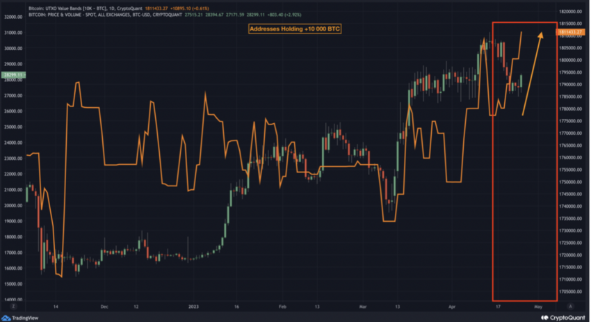 Bitcoin balina UTXO
