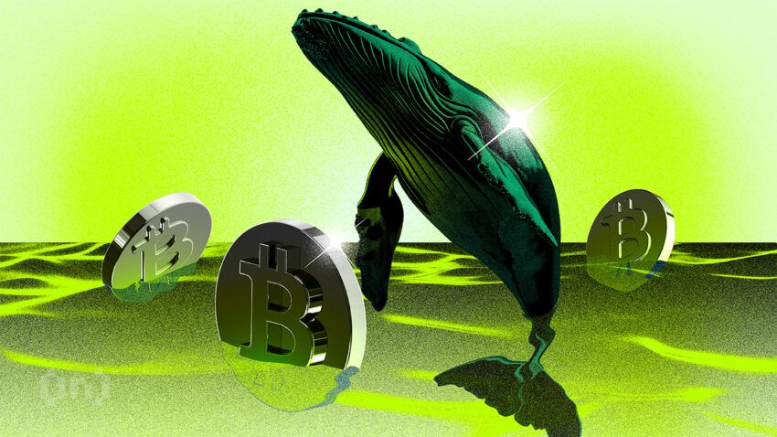 2010’dan Kalma Hareketsiz Bitcoin Cüzdanı Uyandı ve Coinbase’e 3,28 Milyon Dolar Aktardı