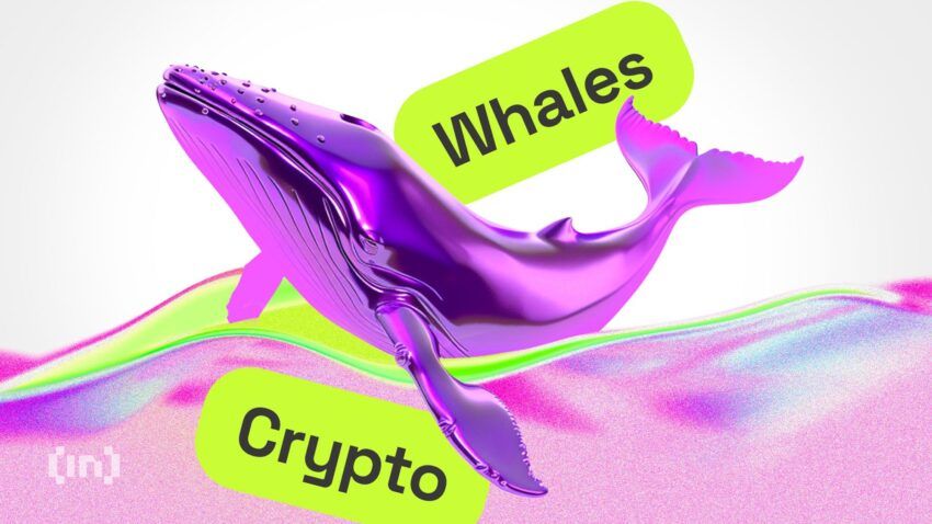 Bitcoin Balinaları Nedir? Kripto Para Dünyasındaki Yeri